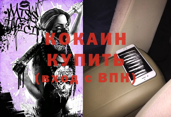 шишки Абаза