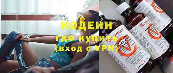 шишки Абаза