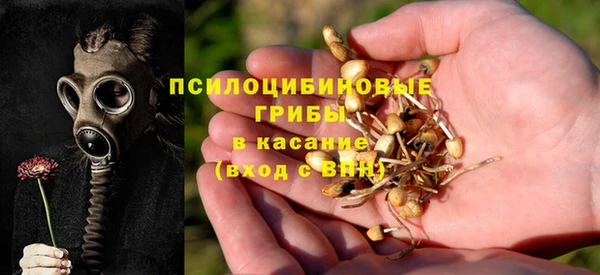 хмурый Абинск